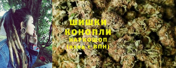 сатива Бугульма