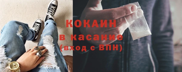 дурь Бородино