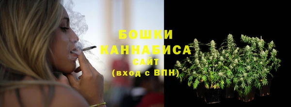 сатива Бугульма