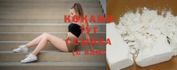 сатива Бугульма