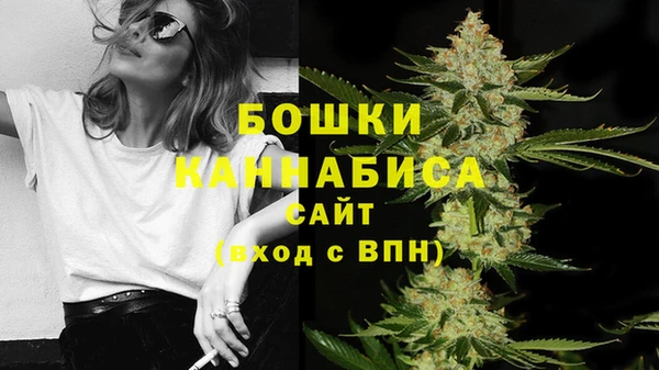 сатива Бугульма