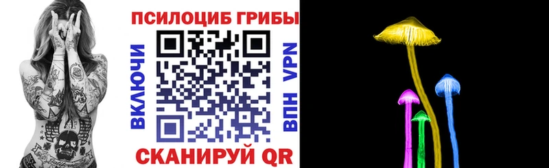 Купить где  Козловка  Псилоцибиновые грибы мухоморы 